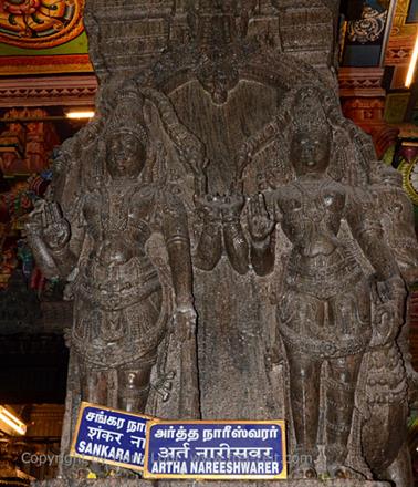 Meenakshi Temple, Madurai,_DSC_8105_H600